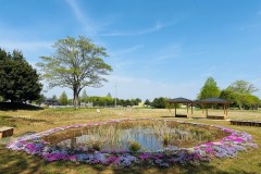 日野自動車　自然と地域と共生する工場へ ～古河工場「ビオトープKOGA」誕生までの歩み～
